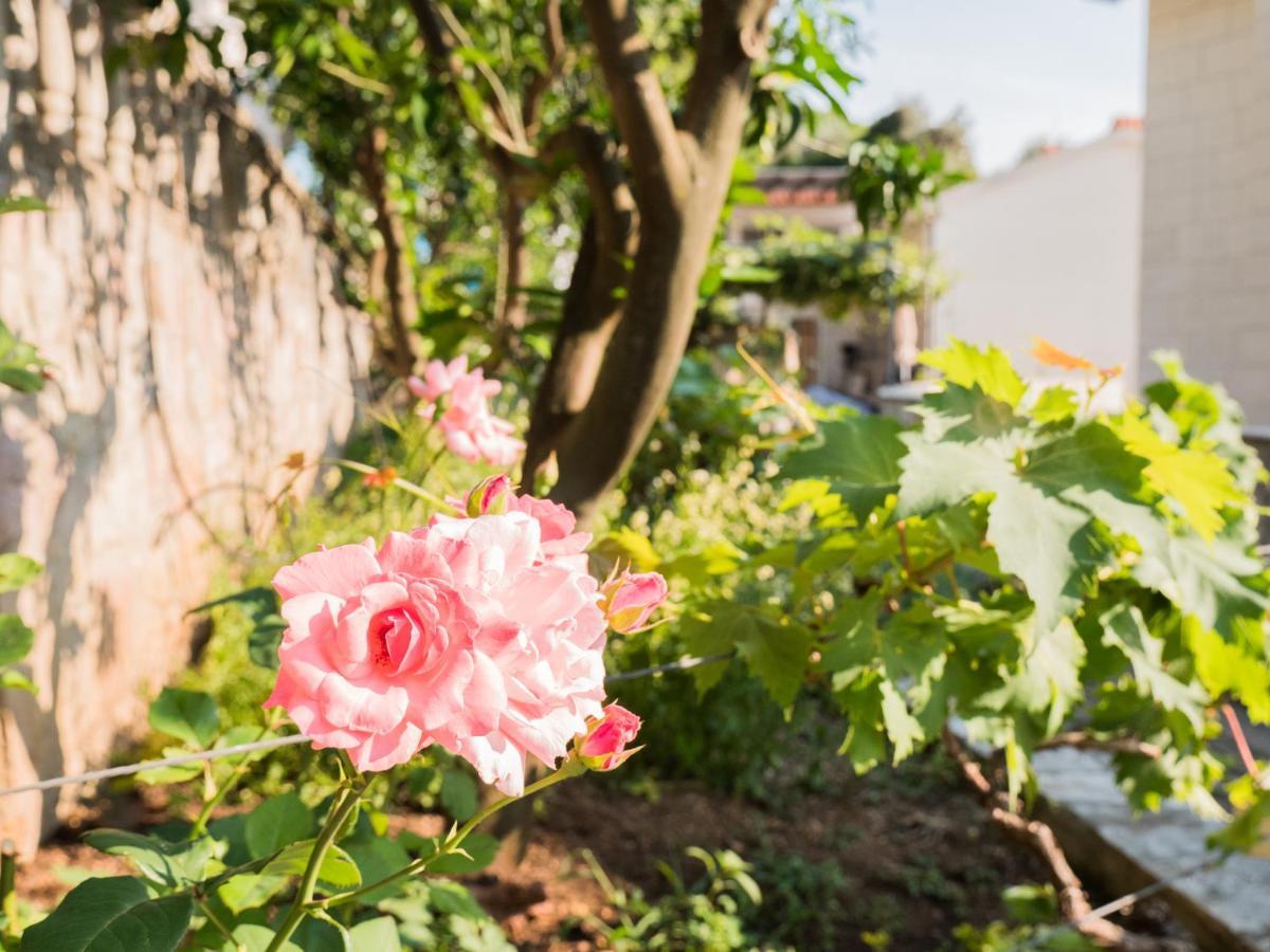 Rezevici Boutique Villa Petrovac Buitenkant foto